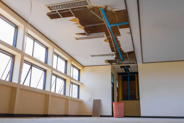 Best Carpet water damage restoration  in Iota, LA