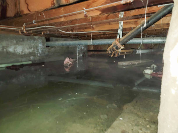 Best Sewage cleanup and water damage restoration  in Iota, LA