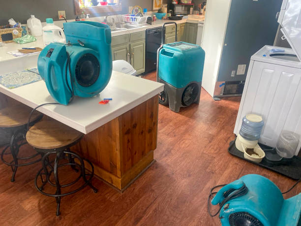 Best Mold removal after water damage  in Iota, LA