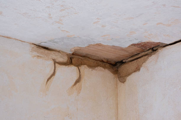 Best Water damage restoration near me  in Iota, LA
