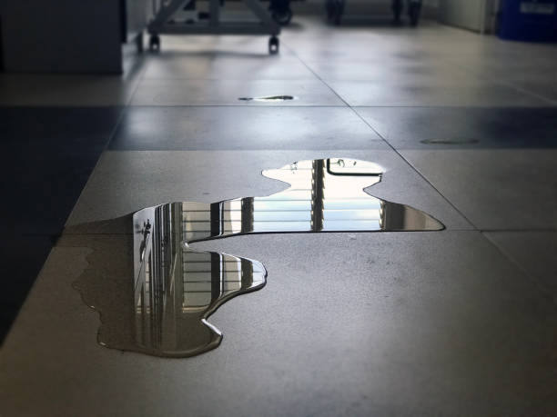 Carpet water damage restoration in LA