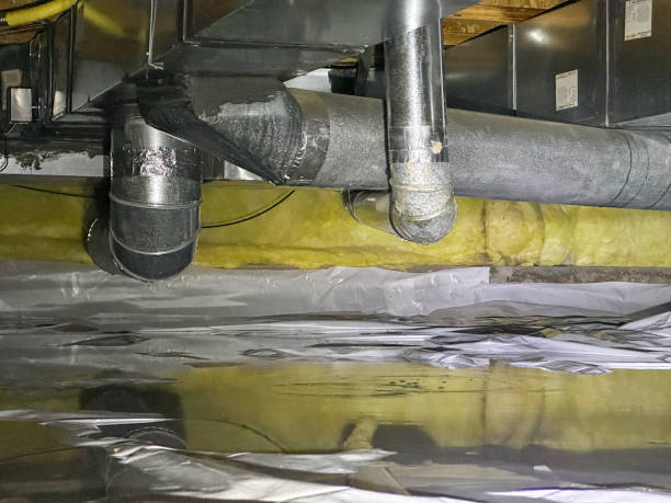 Best Carpet water damage restoration  in Iota, LA