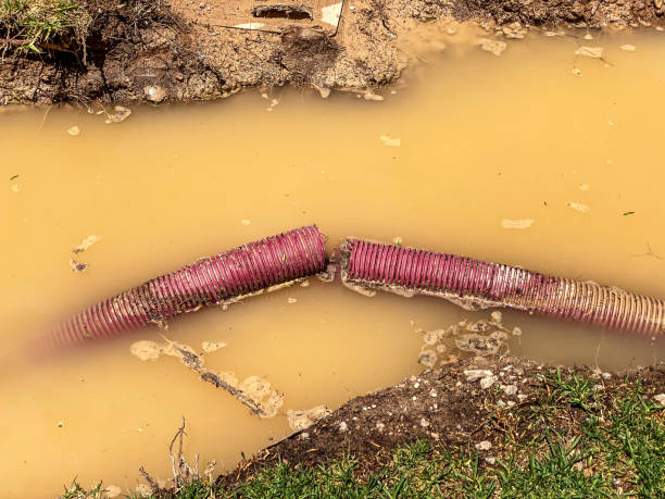Best Flood restoration services  in Iota, LA