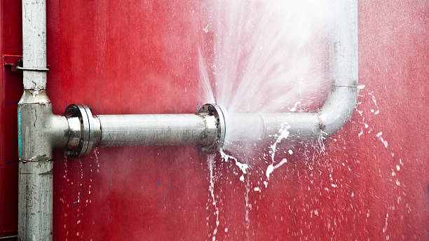 Best Carpet water damage restoration  in Iota, LA