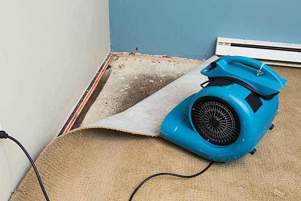 Carpet water damage restoration in LA